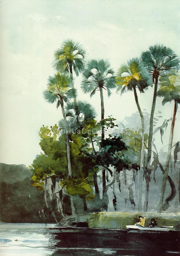 Homosassa River - 温斯洛·荷默